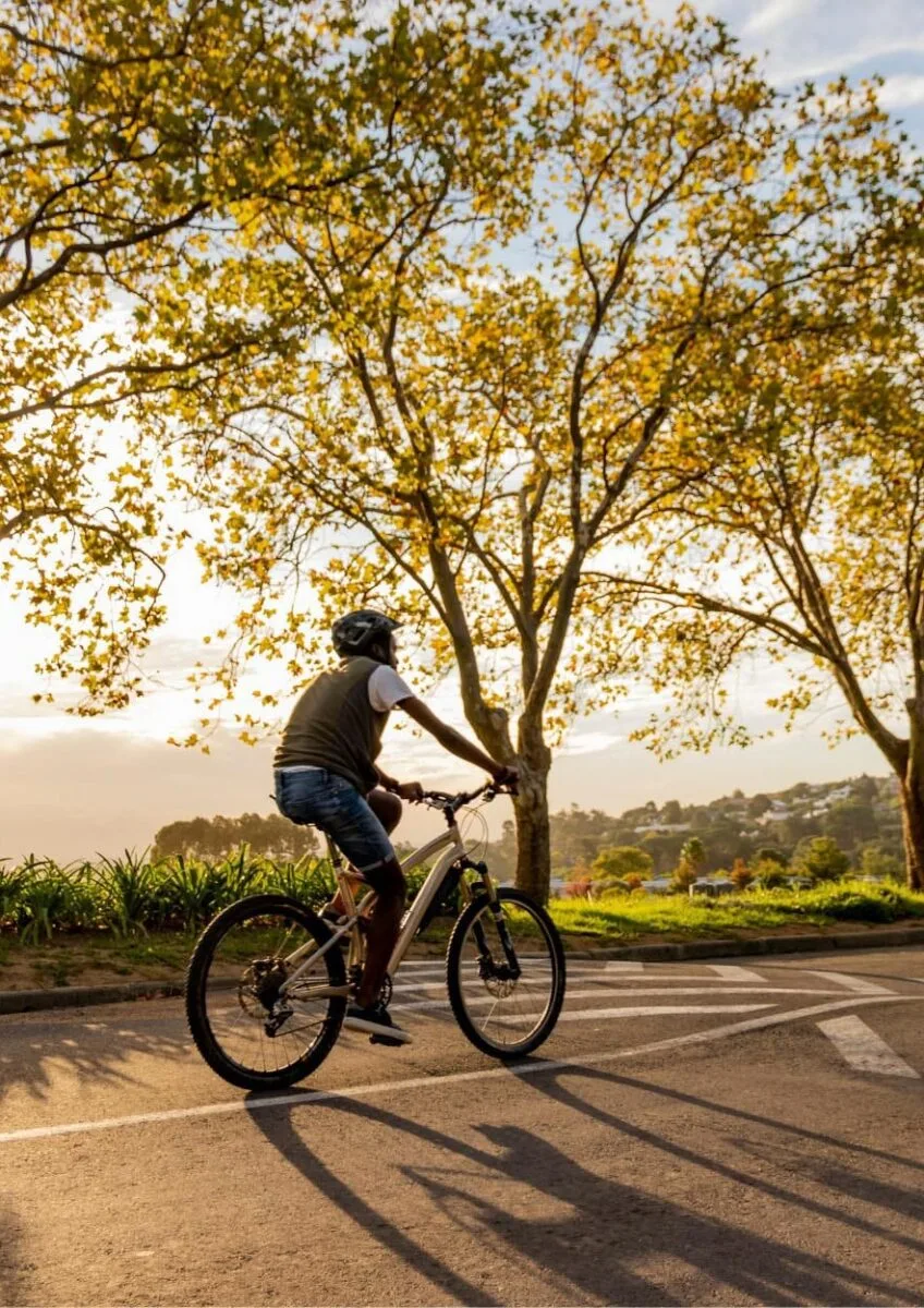 Cyclist riding along tree-lined road