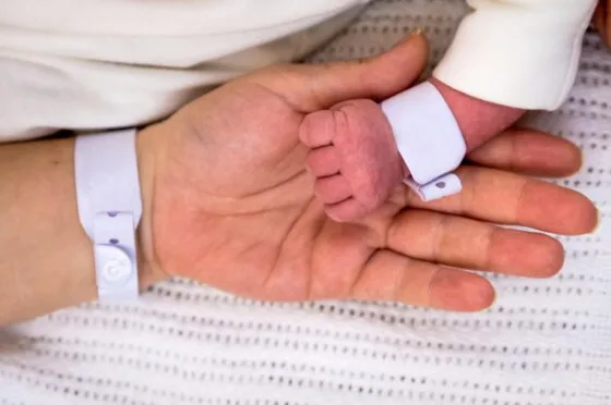 Newborn holding adult finger with hospital wristbands