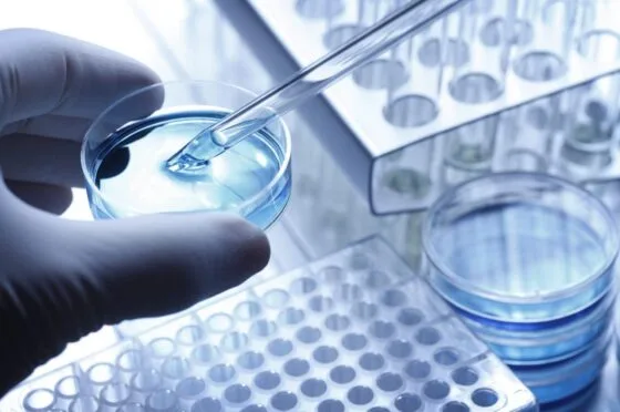 Pipette testing sample in laboratory