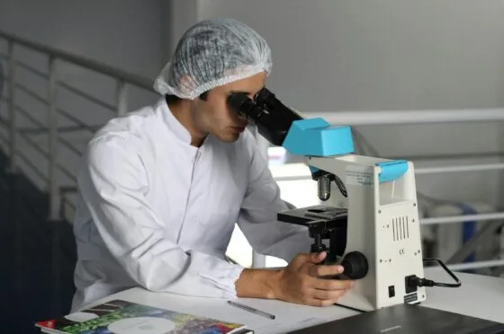 Scientist examining sample under microscope