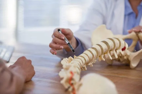 Spine model on table during consultation