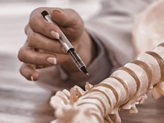 Hand holding a pen pointing at a model spine on a desk
