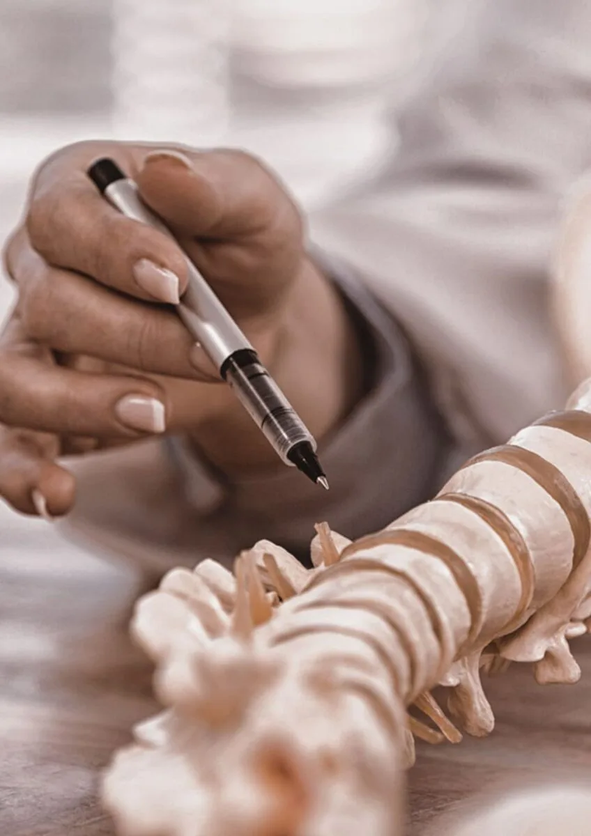 Hand holding a pen pointing at a model spine on a desk
