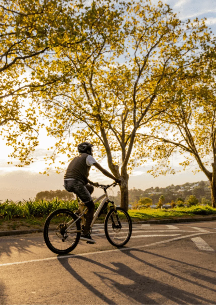 Cyclist riding on a tree-lined road at sunset with speed limit sign visible