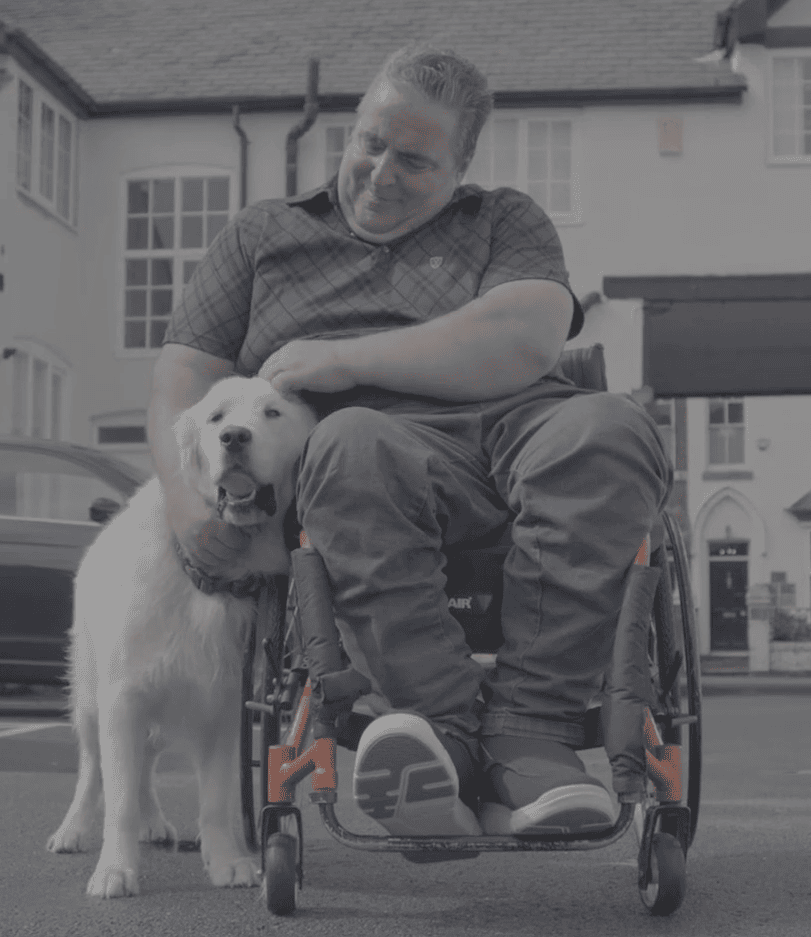 Man in wheelchair petting a white dog holding a ball in its mouth
