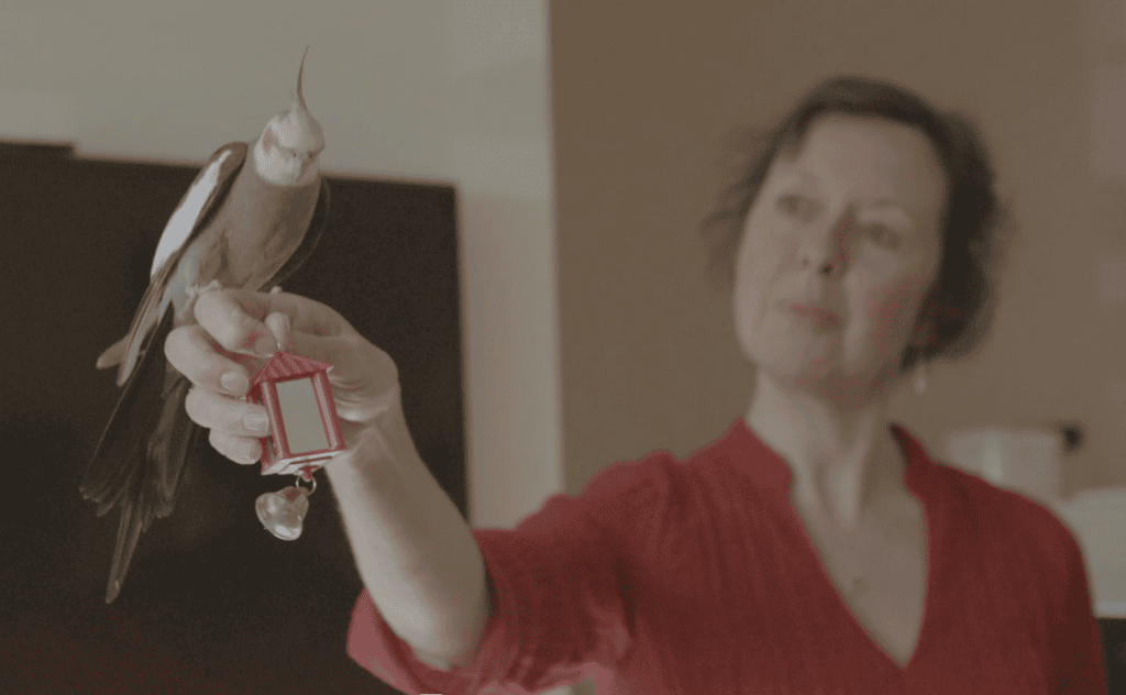 Janice with cockatiel