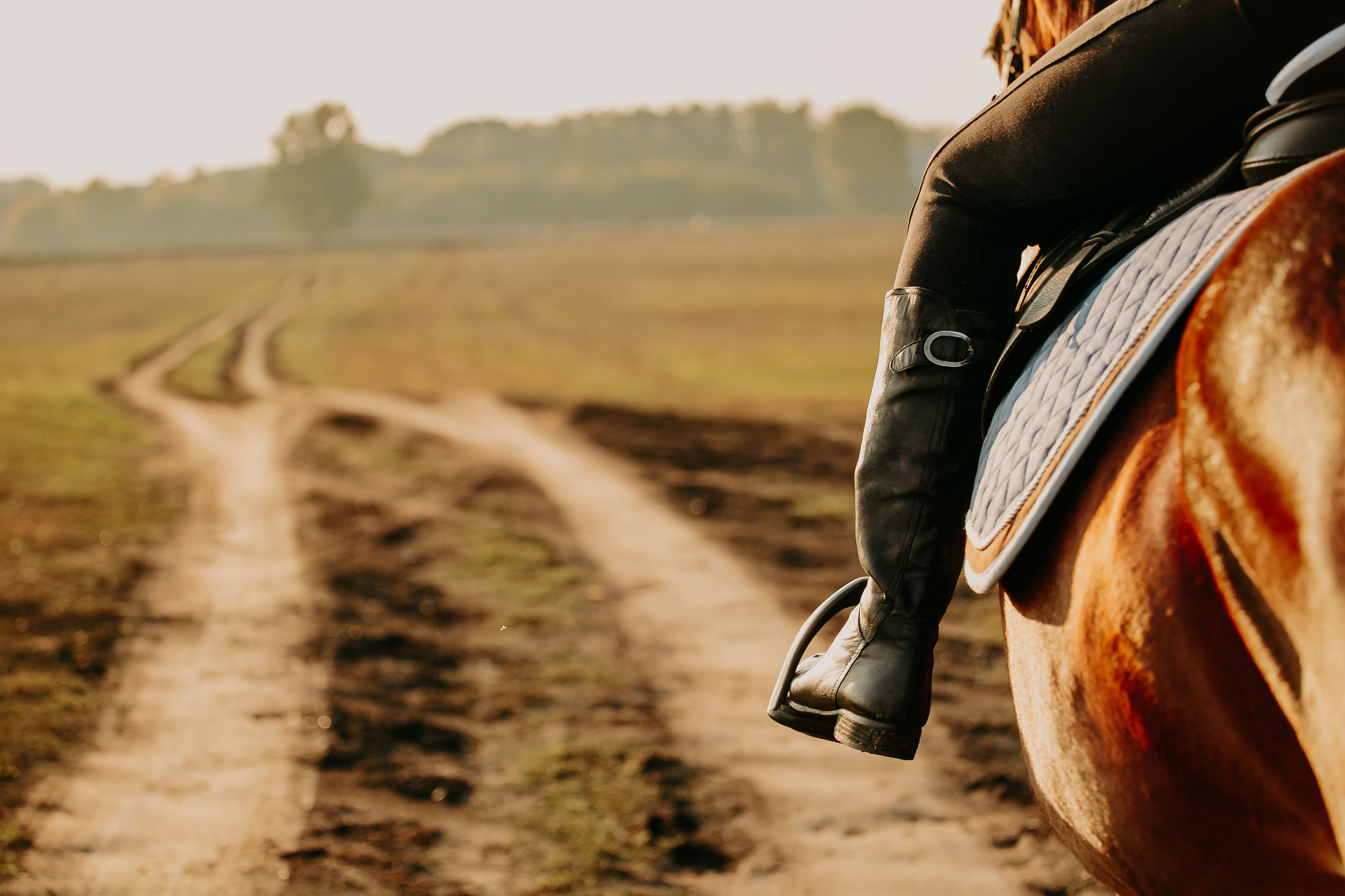 Close-up of rider's leg in stirrup on horse in field at sunset