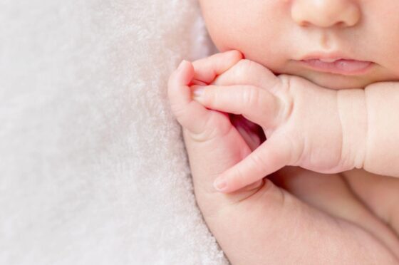 Baby holding adult finger close-up
