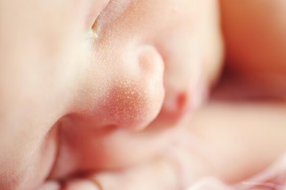 Close-up of newborn baby's face