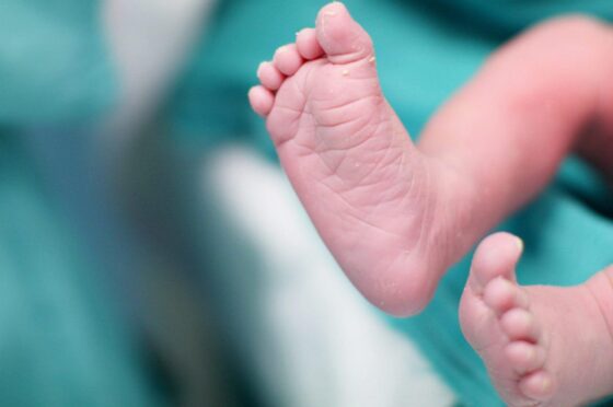 Newborn baby's feet close-up