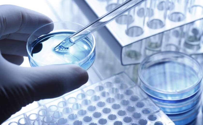 Pipette testing sample in laboratory