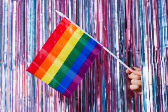 Rainbow Pride flag against tinsel backdrop