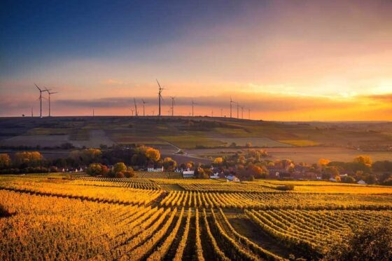 Rural landscape with fields and wind turbines at sunset