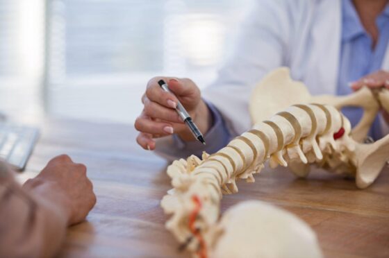 Spine model on table during consultation