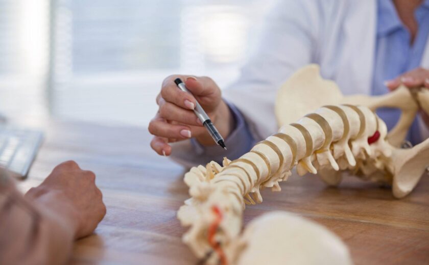 Spine model on table during consultation