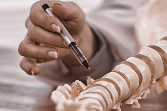 Hand holding a pen pointing at a model spine on a desk