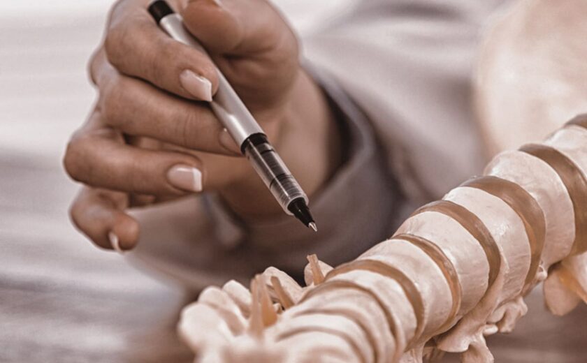Hand holding a pen pointing at a model spine on a desk