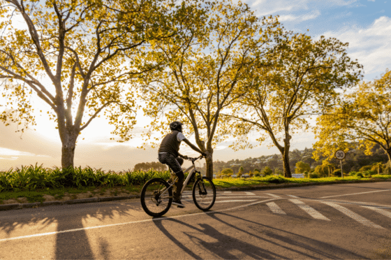 Cyclist riding on a tree-lined road at sunset with speed limit sign visible