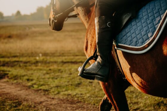 Close-up of horseback rider's boot in stirrup with horse and field at sunset